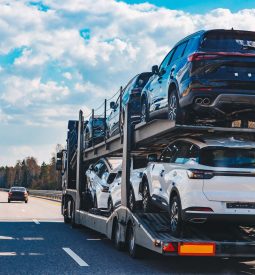 car-transport-truck-driving-on-highway-road-car-c-2026-03-24-14-12-51-utc (1) (1)